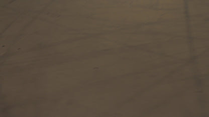 Invictus v3 Scooter - Burnt Gold